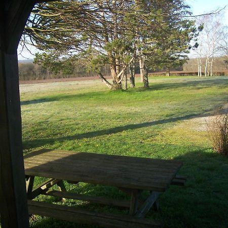 Gite En Forterre Villa Druyes-les-Belles-Fontaines Bagian luar foto