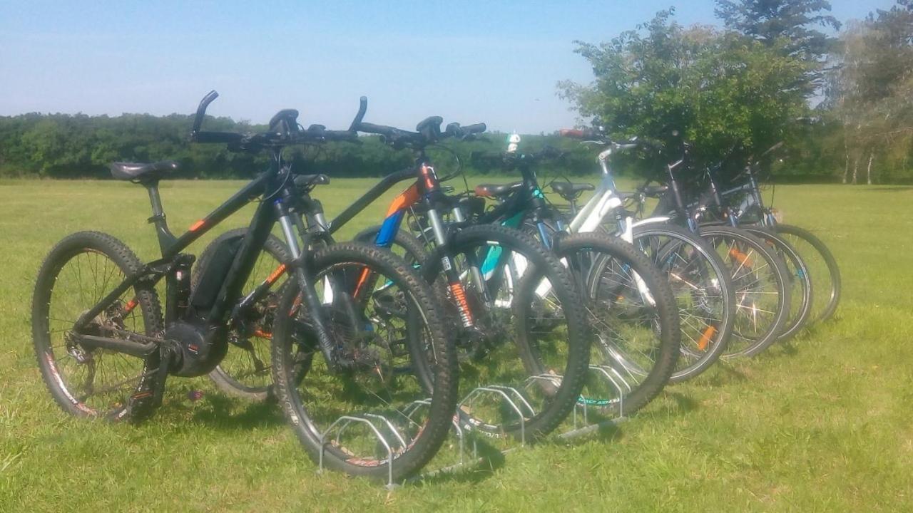 Gite En Forterre Druyes-les-Belles-Fontaines Bagian luar foto